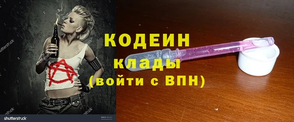 амф Пересвет