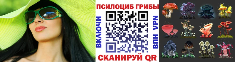 Галлюциногенные грибы мицелий Удачный